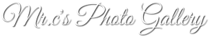 Mr.c's Photo Gallery