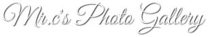 Mr.c's Photo Gallery